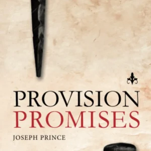 Provision Promises by Joseph Prince | Biblical Encouragement for God's Provision and Grace