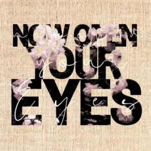 Now Open Your Eyes by Nicole Fiorina | An Emotional Young Adult Romance Novel